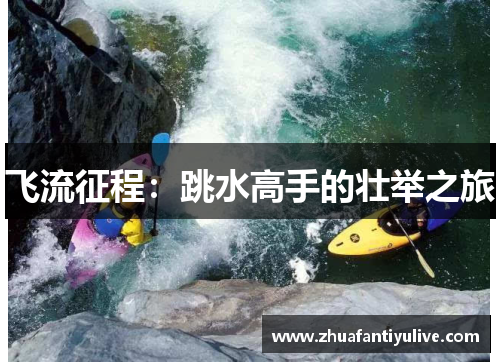 飞流征程：跳水高手的壮举之旅