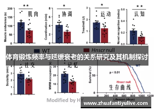 体育锻炼频率与延缓衰老的关系研究及其机制探讨